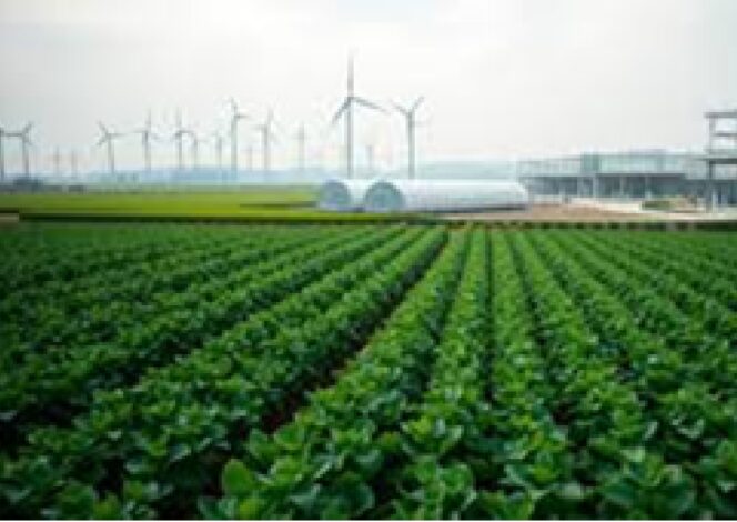 
BIBIT UNGGUL DAN TEKNOLOGI MODERN MENDORONG PERTUMBUHAN TANAMAN